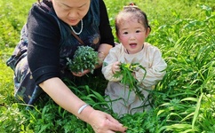 小黄花必看的动漫推荐
